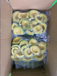 Aguacate Congelado IQF a Granel de Vietnam, Envasado al Vacío, Marca KMI, 1 kg para Smoothies y Servicios de Alimentos - Product Image 1