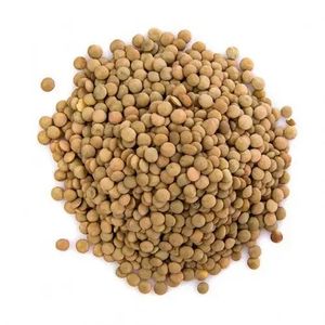 Lentejas Verdes Secas Altas en Fibra, Lentejas Verdes Premium, Orgánicas, Naturales, Integrales, para Alimentos a Base de Plantas - Product Image 2