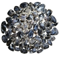 Cabochons en Agate Dendritique Naturelle Certifiée par des Tiers de Haute Qualité, Formes Mixtes, 20-45mm, 8-12g, Pierres Précieuses pour Bijoux