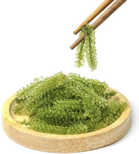 Algas de Mar de Vietnam (Caulerpa Lentillifera) para Ensaladas, Sushi, Ingredientes de Comida Fresca, Uso en Cocina y Comedor - Product Image 1
