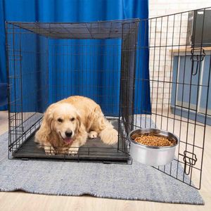 Ciotola Rimovibile per Cibo e Acqua per Gabbie per Animali con Supporto a Morsetto, Ciotola per Cani in Acciaio Inossidabile, Ciotola Sospesa per Animali - Product Image 6