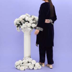 ชุด PW4254กำมะหยี่2ชิ้นสำหรับผู้หญิง - Product Image 1