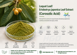 Suministro Directo de Fábrica HGO, Extracto Puro y Natural de Hoja de Nácaro/Hoja de Eriobotrya Japonica (Grado Alimenticio), Ácido Corosólico 1% 5% en Polvo - Product Image 2