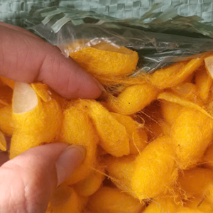 Matériau en fibre de soie brute issue de cocon de ver à soie pour la production textile, la fabrication de fils et les applications artisanales, Vietnam - Product Image 4