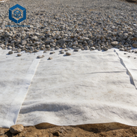 Film géotextile en tissu filtrant non tissé pour les applications de revêtement de décharges sanitaires