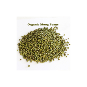 Vente en gros de haricots mungo verts biologiques de haute qualité (Gram/Moong) en vrac, paquet de 25 kg, prêts à l'emploi - Product Image 4
