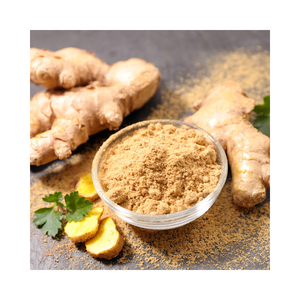 Poudre d'assaisonnement en gros de diverses saveurs, additif alimentaire de haute qualité, extrait de racine de gingembre 1% 5%, poudre de gingembre - Product Image 2