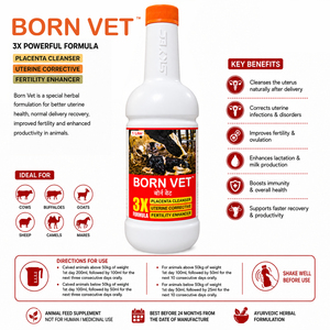 Tonique utérin à base de plantes BornVet pour bovins, buffles, moutons et chèvres, pour les soins post-accouchement du placenta et de l'utérus |   Emballage : 1 litre - Product Image 3