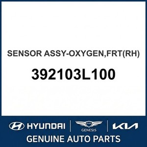 Nouveaux capteurs et interrupteurs de moteur Palisade 392103L100 - Product Image 1