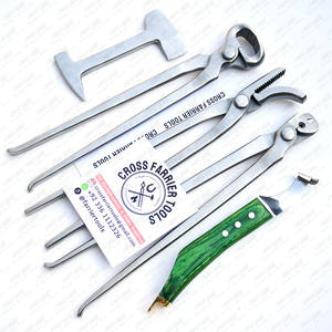 Kit de herramientas de pezuña de aseo profesional, cuchillo para pezuña, extractor de zapatos, pinza, Kit de herramientas de herrador de caballos equinos con maletín veterinario - Product Image 4
