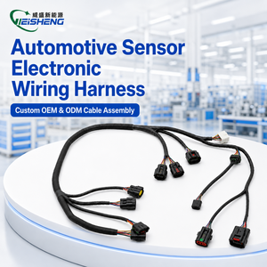 ODM OEM Klantspecifieke elektronische automotive kabelboom met gevlochten gaasbescherming TUV voor nylon omhulsel voor sensorintegratie - Product Image 1