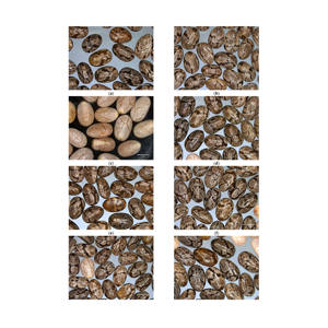 400 grammes de graines de chia en gros, graines de chia noires entières - Product Image 5