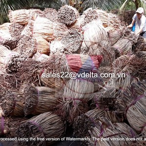 ผักตบชวาแห้งสำหรับทำงานฝีมือ/เชือกผักตบชวา/หญ้าทะเล คุณลิลลี่ - Product Image 6