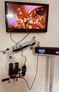 Microscopio de Cirugía de oído, microscopio de disección de laboratorio de hueso temporal portátil quirúrgico con cámara Digital para fines educativos - Product Image 3