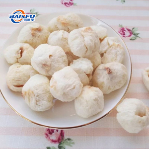 <span class=keywords><strong>Poudre</strong></span> de litchi lyophilisée de qualité supérieure, <span class=keywords><strong>poudre</strong></span> de fruits aromatiques lyophilisée pour les boissons, la pâtisserie, la crème glacée - Product Image 5