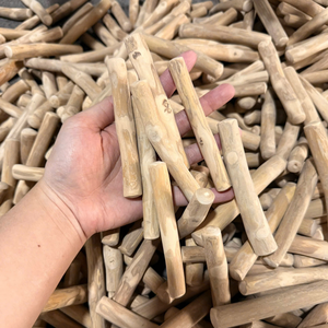 Bâtonnets à mâcher pour chien en bois naturel, taille moyenne, jouets à mâcher durables pour l'extérieur, saveur originale, style simple - Product Image 5
