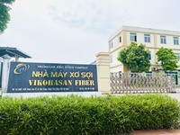 Haute qualité de la fibre discontinue de polyester synthétique HCS HC du Vietnam Prix le plus compétitif pour le matériau de rembourrage