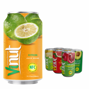 Boisson de jus de citron 330ml boisson rafraîchissante Vietnam prix usine sans sucre marque privée OEM/ODM échantillon gratuit - Product Image 1