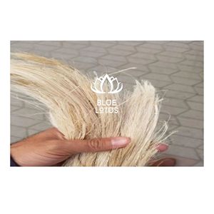 FIBRES DE BANANE NATURELLES PURES EN VENTE CHAUDE |   Fibre de paille de banane brute écologique Super - Product Image 1