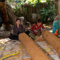 Meilleures ventes : Bûche de fibre de coco pour le contrôle de l'érosion extérieure, le soutien des rives et l'aménagement des jardins – Vietnam