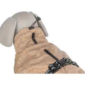 Ropa para Mascotas Riom Shelter M Arena - Product Image 5
