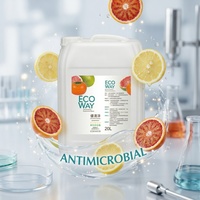 ECOWAY ED-5P2 Hoogwaardige Antimicrobiële & Antivirale Geurneutralisator 20L Bulkverpakking Fruitextract Langdurige Geurverwijderaar