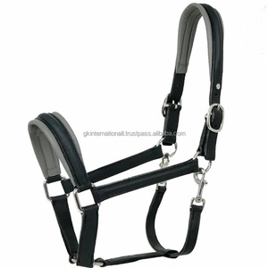 Vente chaude cheval équestre entièrement réglable en cuir Original cheval licou avec rembourrage coloré cousu et matériel en laiton - Product Image 4