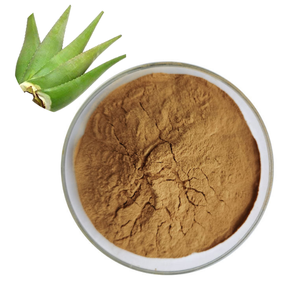 Polvo de Aloe Vera de Grado Cosmético OEM, Polvo de Aloe Vera Natural, Favorece la Salud del Cuero Cabelludo - Product Image 1