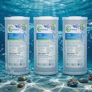 Filtre à eau de remplacement à haute densité de chloramine pour purificateurs d'eau de 10 pouces, nouvelle arrivée 2026, matériau certifié NSF - Product Image 1