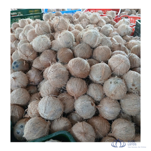 มะพร้าวพรีเมี่ยมเกรดกึ่งกะเทาะเปลือก สีน้ำตาลอ่อน ขนาด 10-13 ซม. สดใหม่ทั้งลูก สำหรับอุตสาหกรรมอาหาร การปรุงอาหาร ขายส่ง สีฟ้า - Product Image 1
