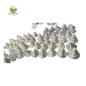 Coquilles de Trochus naturelles polies en forme de cône, en vrac, au toucher réel, pour la décoration moderne de la maison, les fournitures d'aquarium et le bricolage - Product Image 5