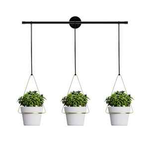 Support mural métallique robuste pour plantes, support de pot de fleurs intérieur/extérieur, support décoratif moderne pour jardin - Product Image 1