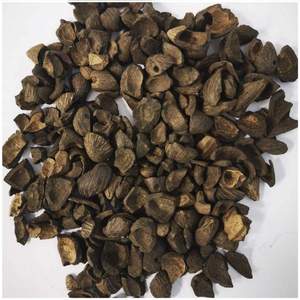 เปลือกปาล์มคุณภาพสูงเพื่อการเผาไหม้ที่สม่ำเสมอ - Product Image 5