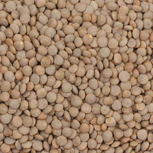 Wholesale Premium Red Lentils for Food Processing Natural Dried Lentils Bulk Supply High Quality Export Grade - Product Image 2