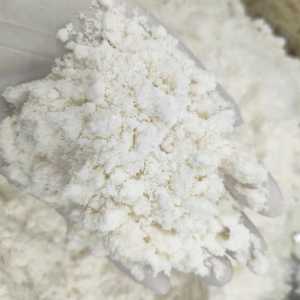 Crema de Coco en Polvo de Alta Calidad de Vietnam, Crema de Coco en Polvo Seca por Aspersión, Fabricante a Granel, Proveedor Exportador para Procesamiento de Alimentos - Product Image 1