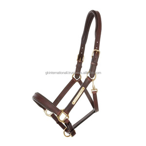 Licol de course de chevaux rembourré en cuir de selle anglais noir ou marron havane avec plaque nominative en laiton entièrement réglable - Product Image 1