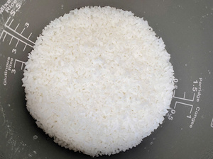 Riz de sushi japonica du Mékong du Sud, haute qualité, conforme aux normes UE, à grains courts, texture moelleuse, blanc, séché, nouvelle récolte, 5% de brisures, 2 ans, 14% - Product Image 2