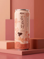 Boisson au thé au gingembre en conserve Rita 325ml, prête à boire, fournisseur en gros, usine, OEM, ODM, marque privée, exportateur