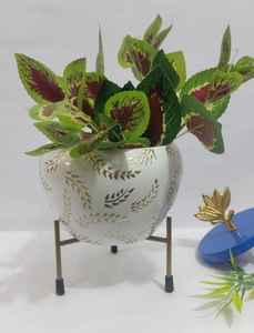 Maceta Moderna de Cerámica de Lujo de 6 Pulgadas con Soporte Metálico (Negro y Dorado, 6 Diseños Disponibles) - Product Image 2