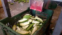 Industriële machine voor het snijden van rauwe mango's in kwartjes voor snelle voedselverwerking