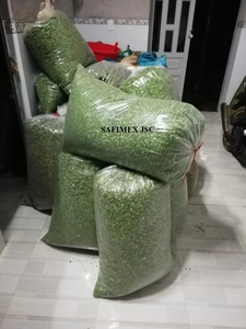 Feuilles de Moringa séchées pour tisane, emballage en vrac OEM, extrait de poudre de Moringa riche en vitamines - Product Image 6