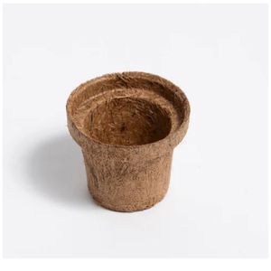 กระถางมะพร้าวยั่มนา (Coco Pots) กระถางปลูกต้นไม้ย่อยสลายได้ ขนาด 2 นิ้ว อายุการเก็บรักษา 2 ปี สำหรับทำสวน - Product Image 5