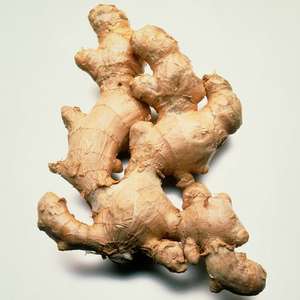 Gingembre frais biologique de qualité supérieure, meilleur prix de gros, qualité exceptionnelle, gingembre frais en vrac, légumes frais - Product Image 1