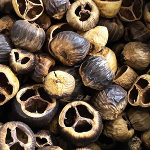 Vaina de Talami Ecológica, Seca, de Diferentes Tamaños, Proveniente de la India, para Decoración de Potpourri - Product Image 3