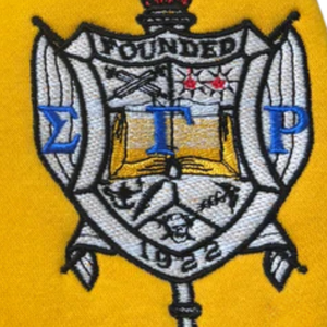 Sweat-shirt à col zippé Sigma Gamma Rho pour femme, broderie lettres grecques dorées, haut décontracté et sportif de qualité supérieure - Product Image 5