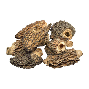 Hongos Morillas Silvestres Secos East Naturhus, Ingredientes Culinarios Premium Cosechados Naturalmente en el Campo - Product Image 6