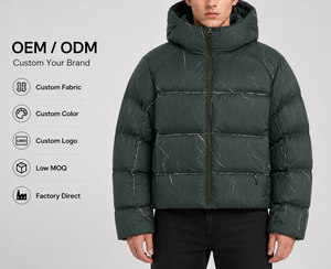 Veste d'hiver rembourrée en duvet à capuche pour homme, épaisse, décontractée, avec fermeture éclair, marque personnalisée, OEM ODM, directement de l'usine - Product Image 1