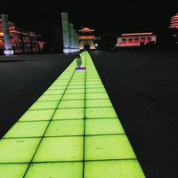 Lumières de sol LED portables à induction, changeantes de couleur, pour aménagement paysager, étanches IP67, en acier inoxydable