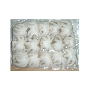 Pulpo bebé congelado entero a bajo precio, disponible para compra al por mayor y entrega rápida - Product Image 1