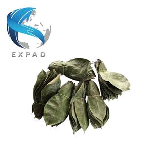 Disponibilidad durante todo el año: Hojas de guanábana crudas y secas para té de hierbas, té natural de guanábana, bebidas saludables, material suelto premium. - Product Image 1